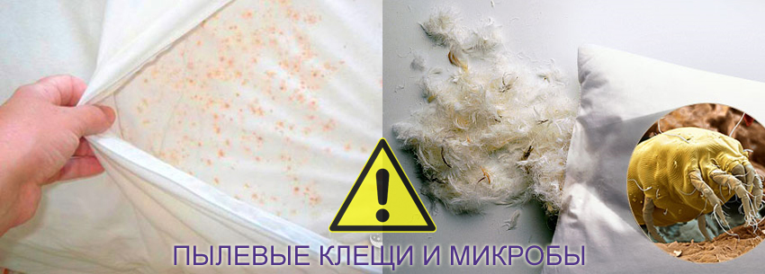 сухая химчистка - удаление пылевых клещей и микробов